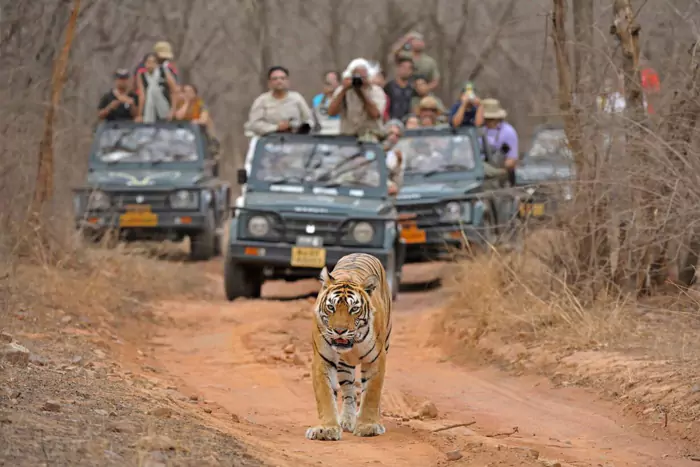 Golden Triangle Tour with Ranthambore Safari
